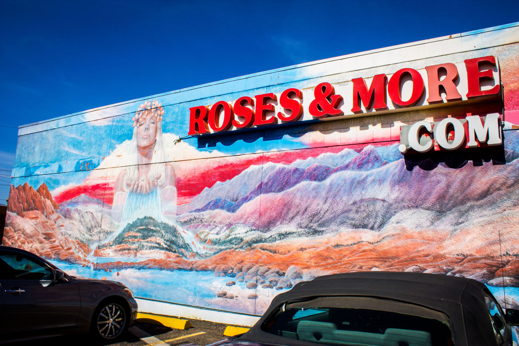Roses and More mural